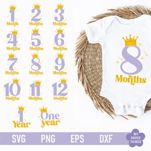 pietra miliare del mese svg, pietra miliare del bambino svg, pietra miliare della bambina svg, pietra miliare della nascita svg, pietra miliare mensile del bambino svg, principessa del bambino svg