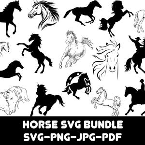 Pferd SVG Bundle, Pferd Png, 16 Pferdedesigns, Pferd Bundle, Silhouette Tier, Pferdekopf, Pferdeliebhaber, Pferd Clipart, digitaler Download