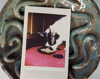 Keramische slowfeeder, natvoerschaal voor katten