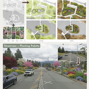 May include: A design concept image showing a planting palette and street view. The planting palette includes a variety of flowers. The street view shows a road with colorful flower beds, cars, and the text "Kensington X". The image also shows seasonal views.