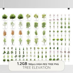 Puede incluir: Un póster que muestra 180 imágenes PNG de árboles de alta resolución. Los árboles varían en tamaño, forma y color, con hojas verdes y tonos otoñales. Incluye el texto "1.2GB 180pcs HIGH-RES TREE PNG TREE ELEVATION".