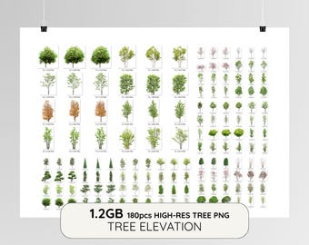 High-Resolution Tree Elevation PNG Bundle | 1.2GB Trees Pack | Architectural Elevation | Landscape Design