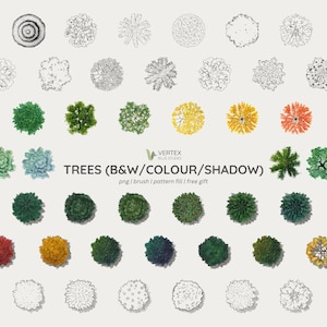 May include: A collection of tree illustrations in various styles, including black and white line drawings and colorful renderings. The image features a variety of tree types, with the text "TREES (B&W/COLOUR/SHADOW)" and the Vertex Plus Studio logo.