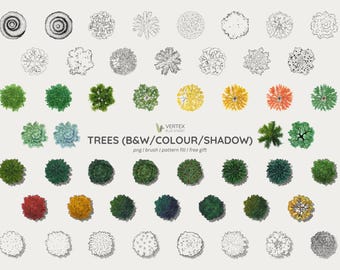 Baum S&W, Farbig, Schatten | Masterplan | Landschaftsarchitektur | Pinsel und Musterfüllung | Gratisgeschenk