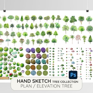 Op de afbeelding: Een verzameling handgetekende boomillustraties in plan- en aanzicht. De afbeelding toont verschillende boomsoorten in groene, bruine en paarse tinten, met de tekst "HAND SKETCH TREE COLLECTION PLAN / ELEVATION TREE".