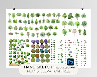 Handgezeichnete Baumplan & Ansicht Sammlung | Landschaft-Vektorgrafik (PNG PSD)