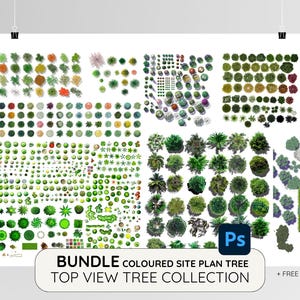 Op de afbeelding: Een poster met een verzameling gekleurde boomillustraties in bovenaanzicht. De bomen zijn in verschillende tinten groen, geel en roze. De poster bevat de tekst "BUNDLE COLOURED SITE PLAN TREE TOP VIEW TREE COLLECTION". Ideaal voor architectuur of landschapsontwerp.