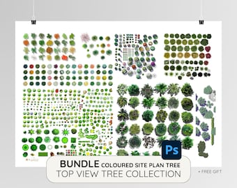 Top View Tree Kollektion | Farbiges Lagenplan-Baum-Bundle | Landschaft Vektorgrafik | PSD png | +Gratis Geschenk | Landschaft Urban Design