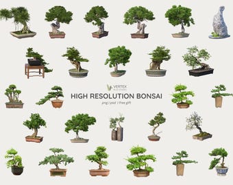 Árbol bonsái de alta resolución PNG PSD / Recursos de collage digital