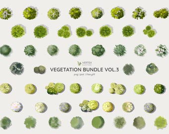 Vegatation Bundle vol3 | Aquarell Bäume, Sträucher, Platanen | PNG, PSD | Architektur und Design | Gratisgeschenk