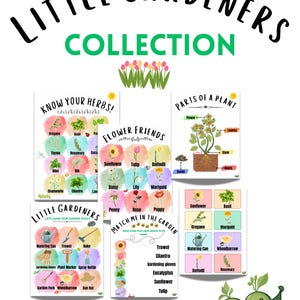 May include: A set of educational posters with a gardening theme. The posters feature colourful illustrations of herbs, flowers, and garden tools. Text includes "Little Gardeners Collection", "Know Your Herbs", "Flower Friends", and "Parts of a Plant".