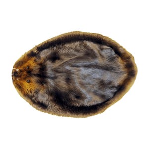 Premium Label Beaver Pelt – Winter Prime, Luxurious Texture