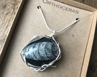 Wire Wrapped Orthoceras necklace fossilised  necklace