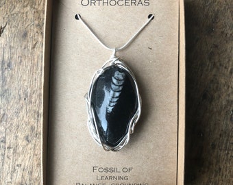 Wire Wrapped Orthoceras necklace fossilised  necklace