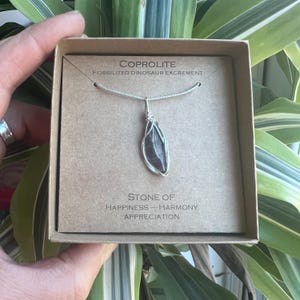 May include: A silver necklace with a brown fossilized dinosaur coprolite pendant in a brown box. The box has the text "Coprolite Fossilized Dinosaur Excrement Stone of Happiness - Harmony Appreciation".