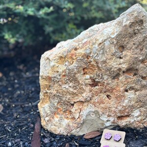 May include: Two pairs of small, wooden flower-shaped earrings in shades of pink and purple. The earrings are displayed on a small, brown card. The background features a large, textured rock and dark mulch.