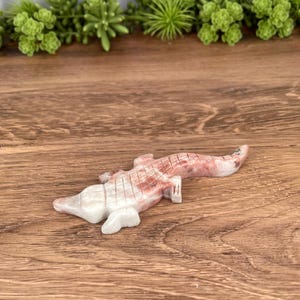 May include: A carved stone alligator figurine in shades of white and pink, with a textured, cross-hatched pattern on its back. The figurine is lying on a wooden surface, with green plants in the background.