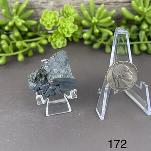 May include: A dark gray mineral specimen on a clear plastic display stand, next to a U.S. quarter coin. The mineral has a rough, textured surface. The number "172" is printed in white at the bottom of the image. Green succulent plants are in the background.