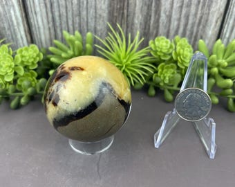 May include: A polished gemstone sphere with a mix of tan, brown, and cream colors. The sphere sits on a clear stand, with a quarter coin next to it for size comparison. The background includes faux greenery and a wooden plank wall.