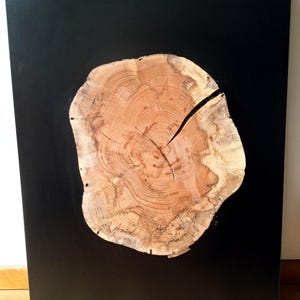 May include: A wooden art piece featuring a cross-section of a tree trunk set against a black background. The wood grain is visible, with a prominent crack running through the center. The artwork is a square or rectangular shape.