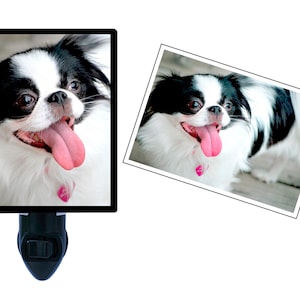 Custom Photo Decorative Photo Night Light.  Your Own Pictures in a Back-Lit Night Light!