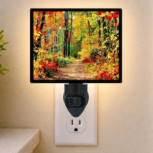 May include: A rectangular plug-in night light featuring a vibrant autumn forest scene with a dirt path surrounded by trees with red, orange, and yellow foliage. The light has a black plastic base with a manual toggle switch, plugged into a wall outlet.