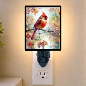 May include: A rectangular plug-in night light featuring a vibrant illustration of a red cardinal bird perched on a thin branch surrounded by autumn leaves in shades of orange, yellow, and brown. The light has a black frame and a dark base.