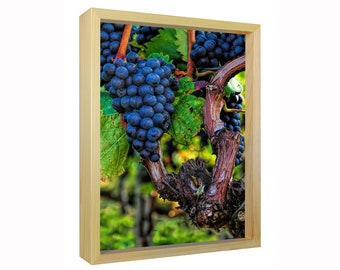 Grape Vines Wood Framed Suncatcher – Winery Decor – Grapes