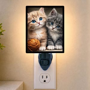 May include: A rectangular plug-in night light featuring a printed image of a fluffy ginger kitten and a grey tabby kitten sitting next to a ball of orange yarn. The kittens have bright blue eyes and white paws. The light is plugged into a wall outlet.