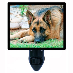 German Shepherd – Dog Night Light – Cute Pet Plug In Light – Cozy Home Decor – Free Switchable Insert Included