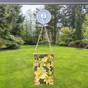 Suncatcher, Summer Lilies, Flowers, Garden, Copper Chain, Glass, Sunspot