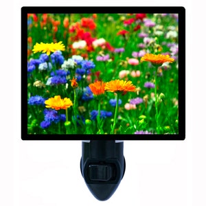 Garden Pallet – Flowers and Wildflowers Night Light – Summer Plug In Light – Cozy Home Decor – Free Switchable Insert Included