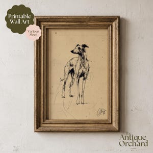 May include: A framed wall art print featuring a black ink sketch of a slender dog standing in profile on a tan background. The artwork is enclosed in a decorative gold-toned frame with a textured finish. The sketch includes a signature in the corner.
