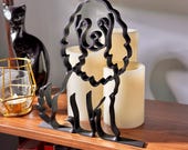 Mini Cocker Spaniel photo 5