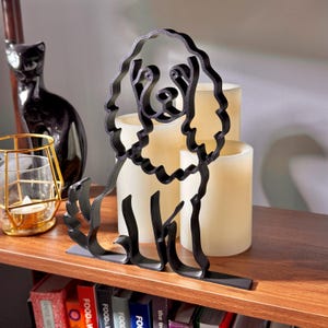 Mini Cocker Spaniel photo 5