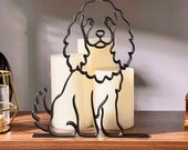 Mini Cocker Spaniel photo 2