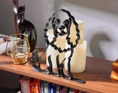 Mini Cocker Spaniel photo 6