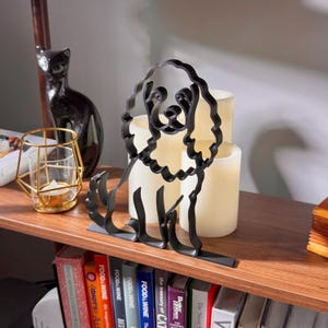 Mini Cocker Spaniel photo 6