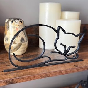 Sleeping Cat photo 3