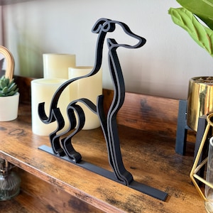 Italian Greyhound photo 2