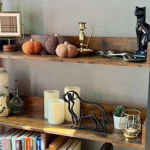 Saint Bernard photo 4