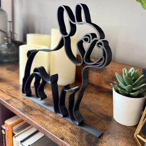 French Bulldog photo 3