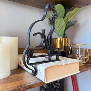 Cat on Books photo 4