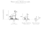Italian Greyhound photo 3