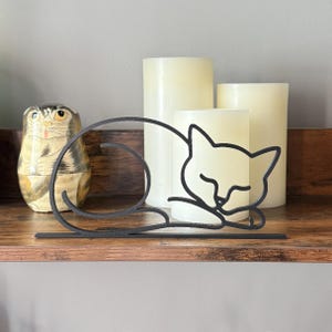 Sleeping Cat photo 5