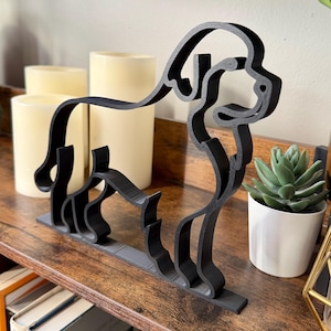 Newfoundland photo 5