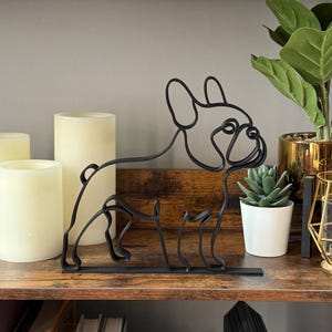 French Bulldog photo 5