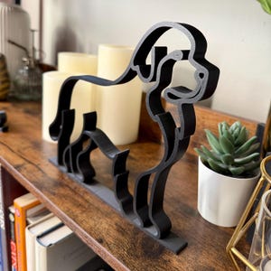 Newfoundland photo 4