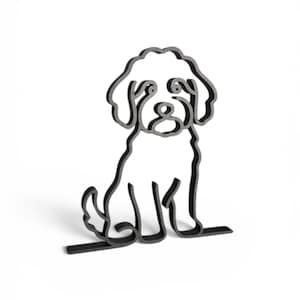 Mini Goldendoodle photo 5