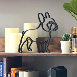 French Bulldog photo 6